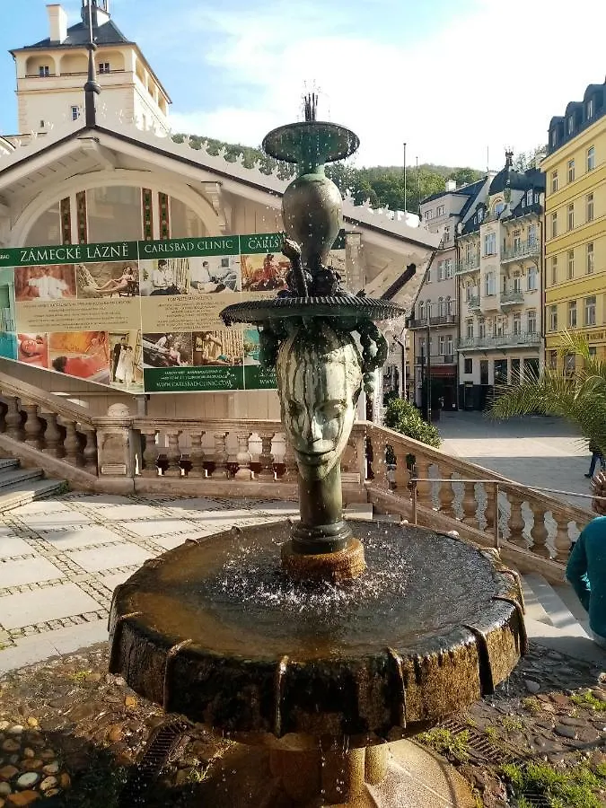 Apartment Apartman Orchidej U Vridla Karlovy Vary Czech Republic