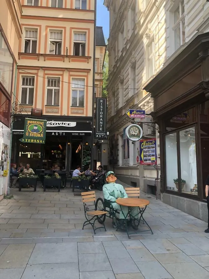 Apartman Orchidej U Vridla Karlovy Vary