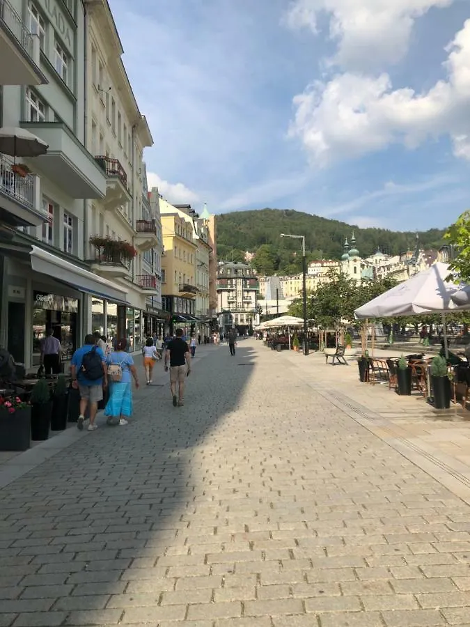 Apartmán Orchidej u Vřídla Karlovy Vary Česká republika